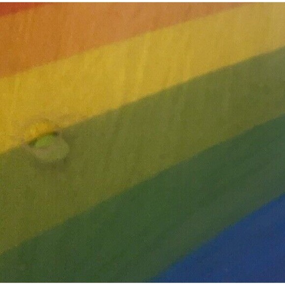 Vintage 80's Wham-O Frisbee Super Pro 133G Orange Bald Eagle outdoor toy 1981 - Picture 6 of 7